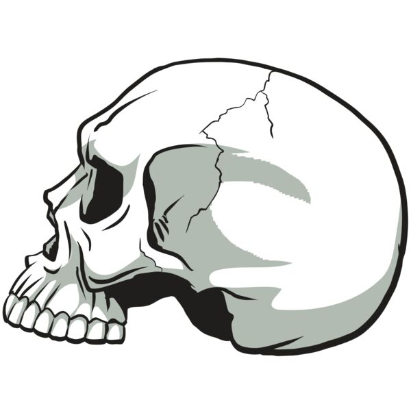 AR24 SKULL 11 RQC Thumbnail
