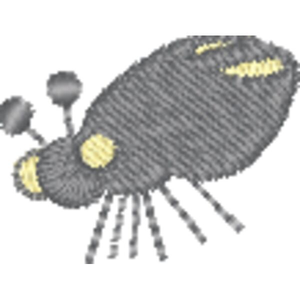 ci494 Thumbnail